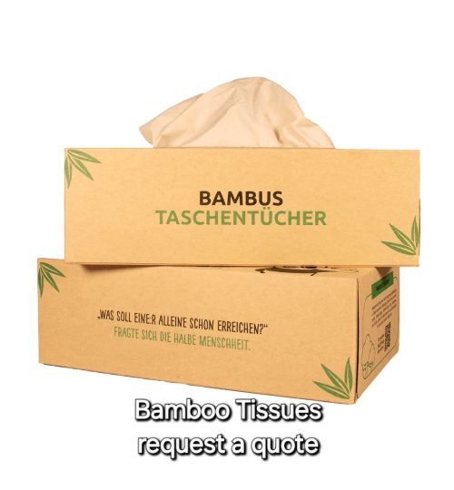 pandoo hygienepapier bambus taschentucher 3 lagig 100 bambus plastikfreie verpackung 44356158652682 5000x