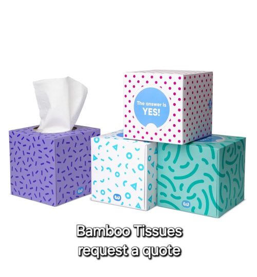 who gives a crap bamboo tissue box 726 p